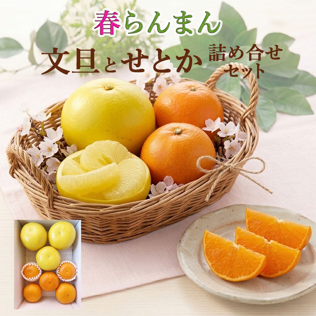 くりーむ　　　せとか せとか