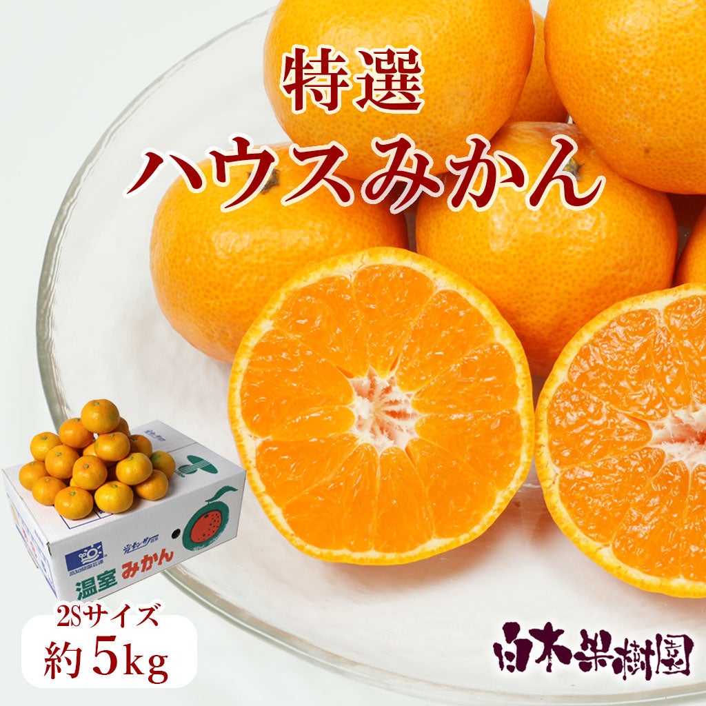みかん