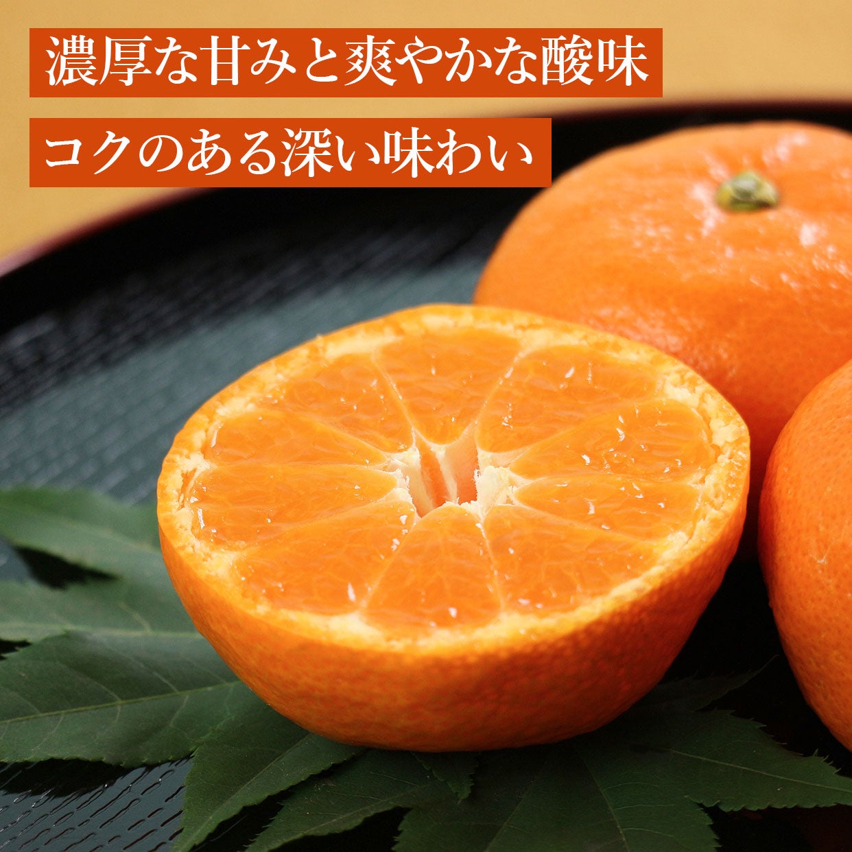 000000000631-08.jpg?size=l&w=