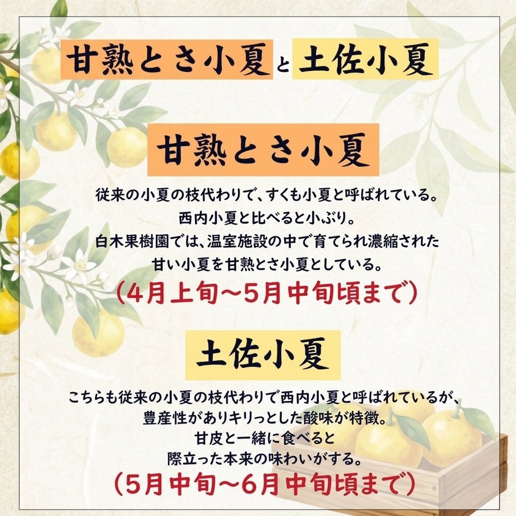 甘熟と土佐小夏の違い