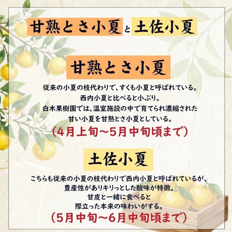 甘熟と土佐小夏の違い