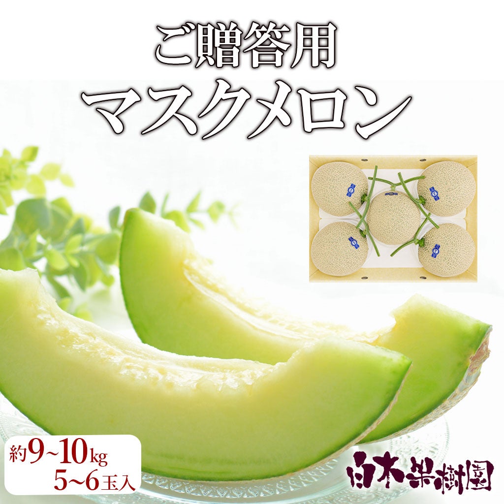 マスクメロン | 白木果樹園