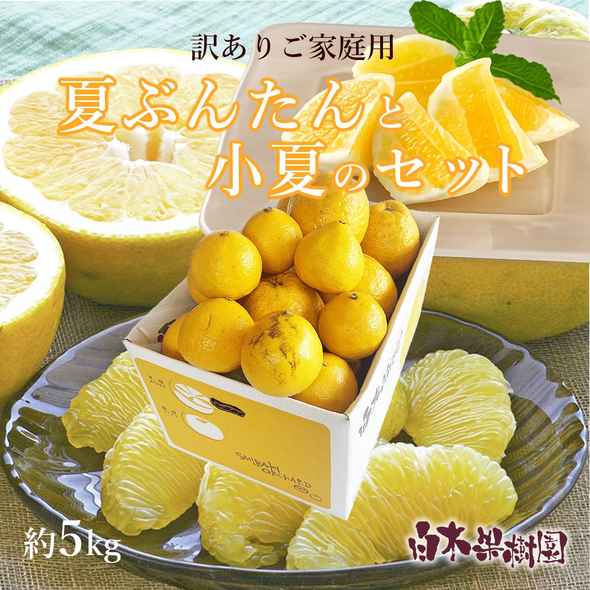 Satomama様 リクエスト 5点 まとめ商品 園主のおすすめ